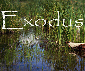 Exodus Quiz