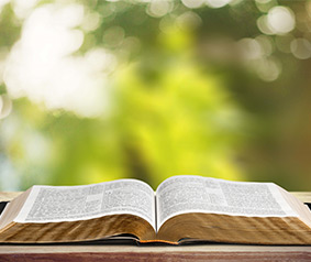 Bible Trivia Quiz II