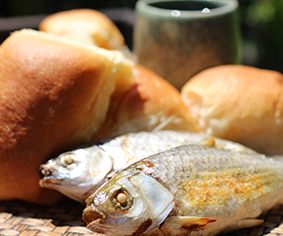 Miracles in the Bible