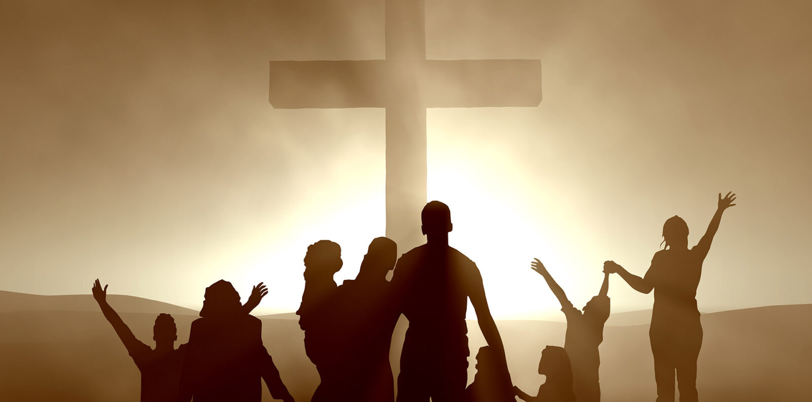 Bible Study Questions