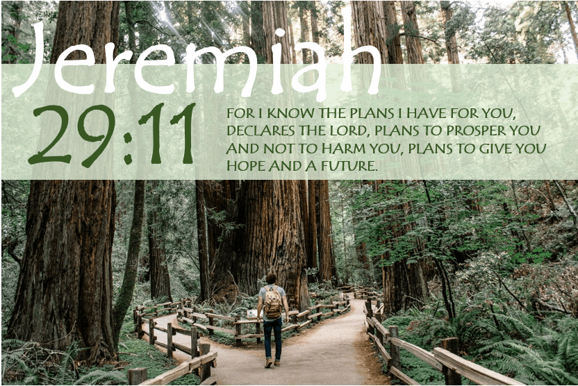 JEREMIAH 29:11 verse image