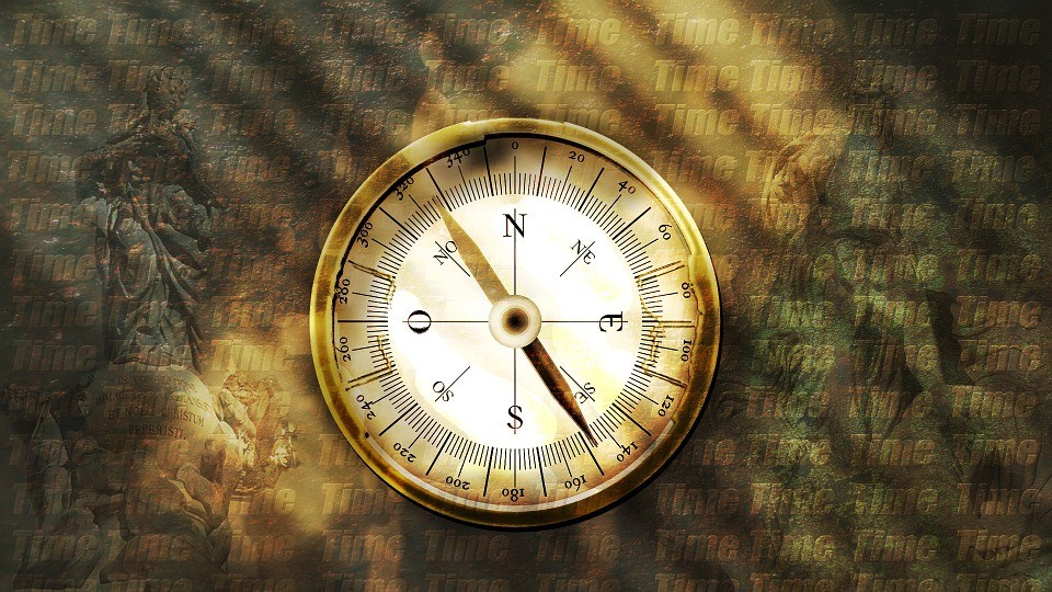 Your Purpose In Life Bible IQ