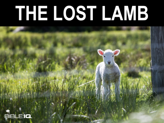 The Lost Lamb