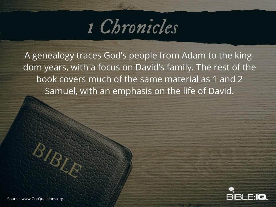 Bible Summaries 13