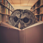 An,Owl,Bird,Is,Wearing,Eye,Glasses,And,Reading,A